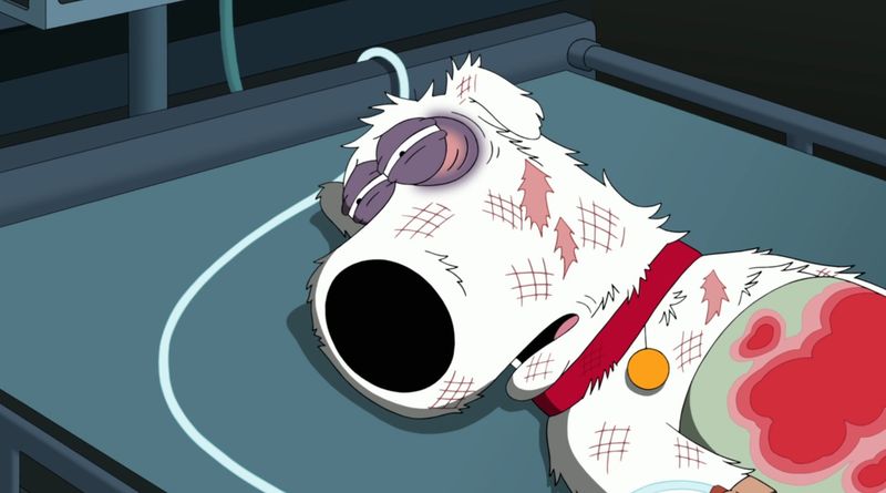 Brian Griffin's Death in Family Guy