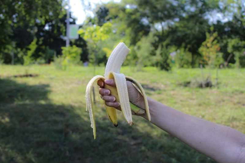 Opening a Banana