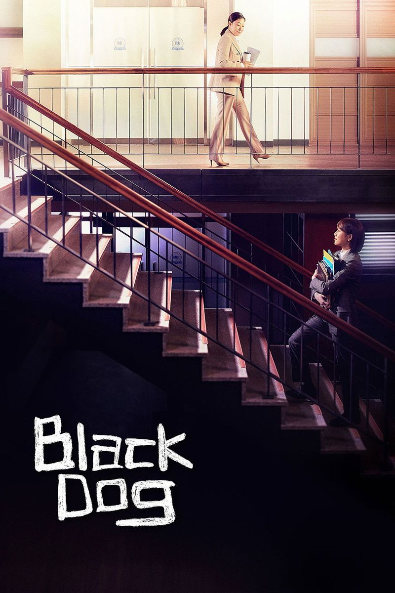 Black Dog: Being a Teacher (2019–2020)