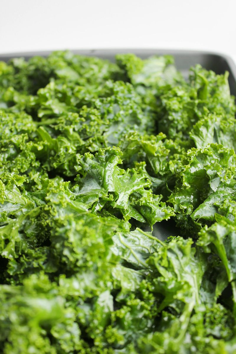 Kale Is Packed with Protein