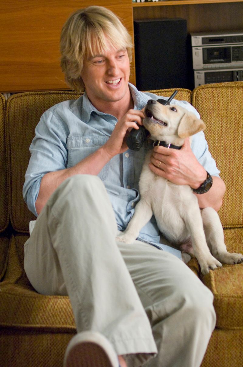 Marley from Marley & Me (2008)