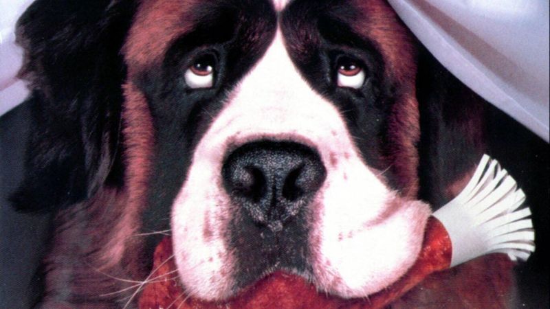 Beethoven from Beethoven (1992)