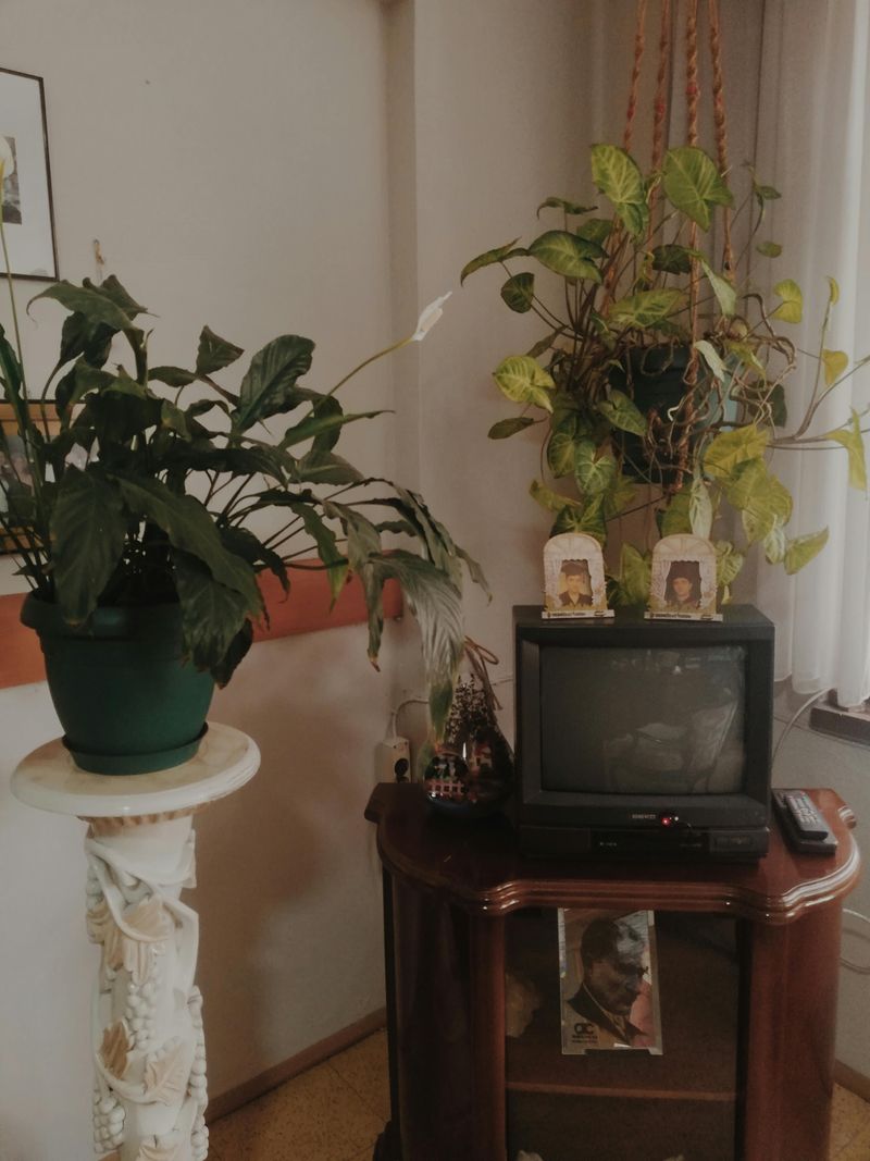 A Color Television in Your Living Room