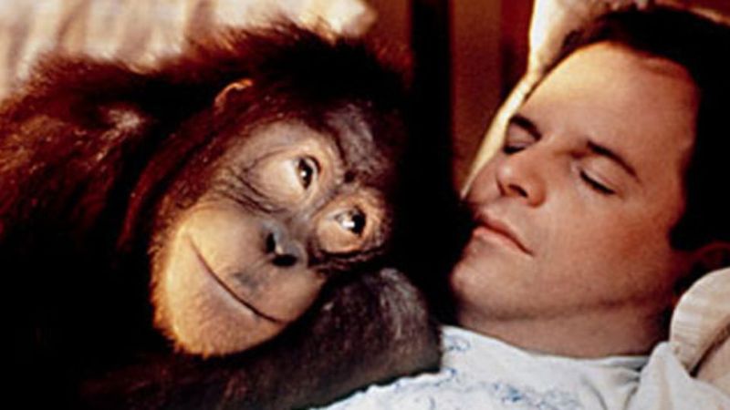 Dunston Checks In (1996)