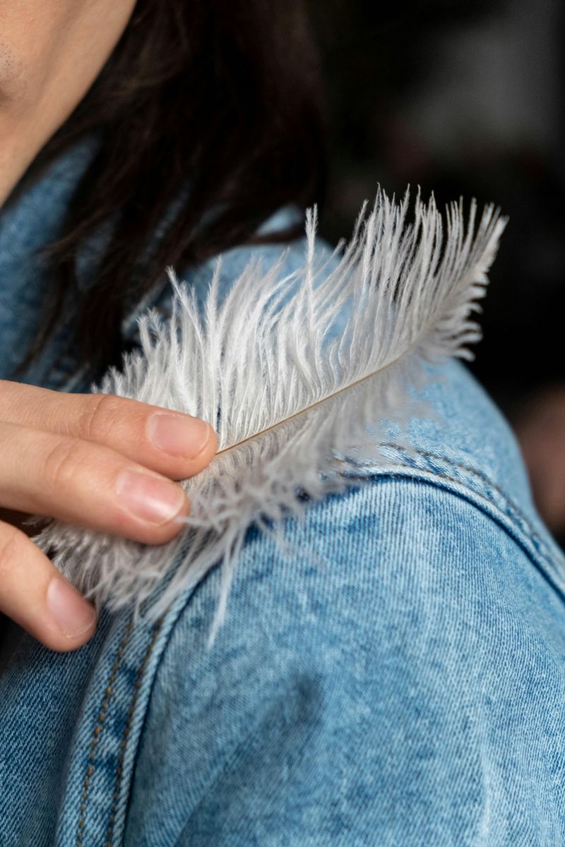 Finding White Feathers