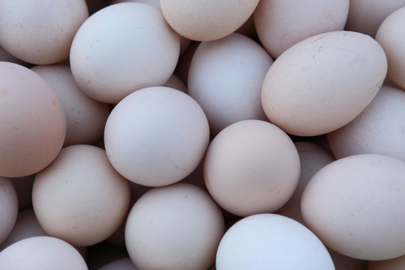 Eggs Raise Your Cholesterol Dangerously