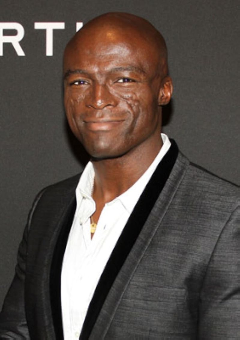 Seal's Facial Scars