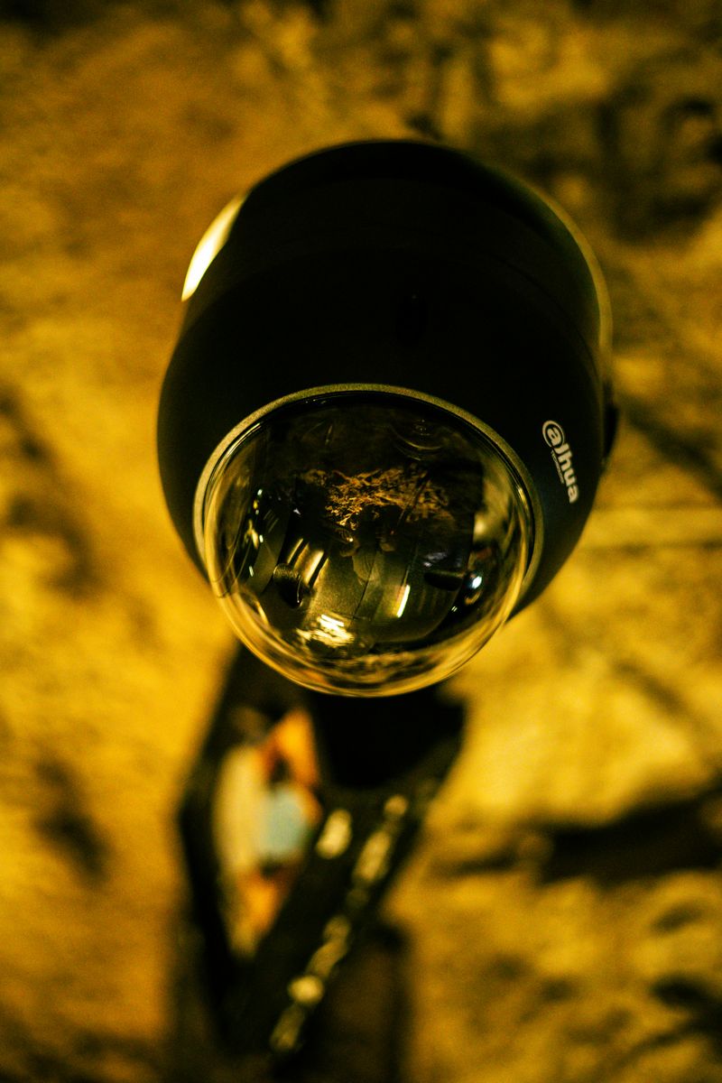 Skipping a Home Security System