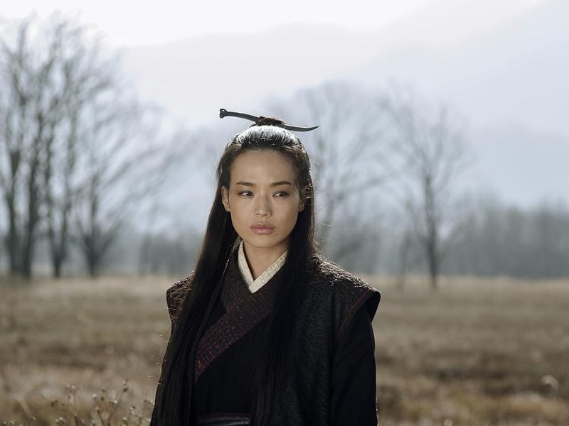 The Assassin (2015)