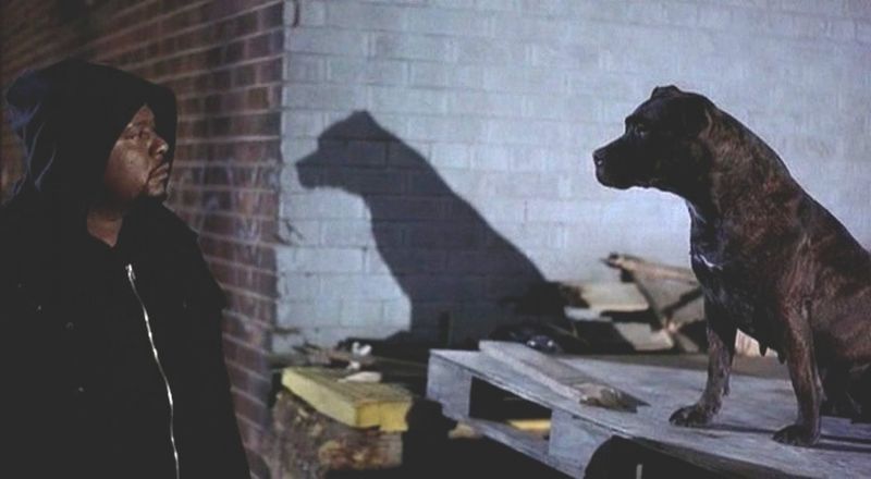 Ghost Dog: The Way of the Samurai (1999)