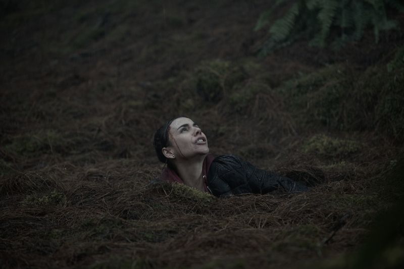 Quicksand Swallows You Whole Instantly