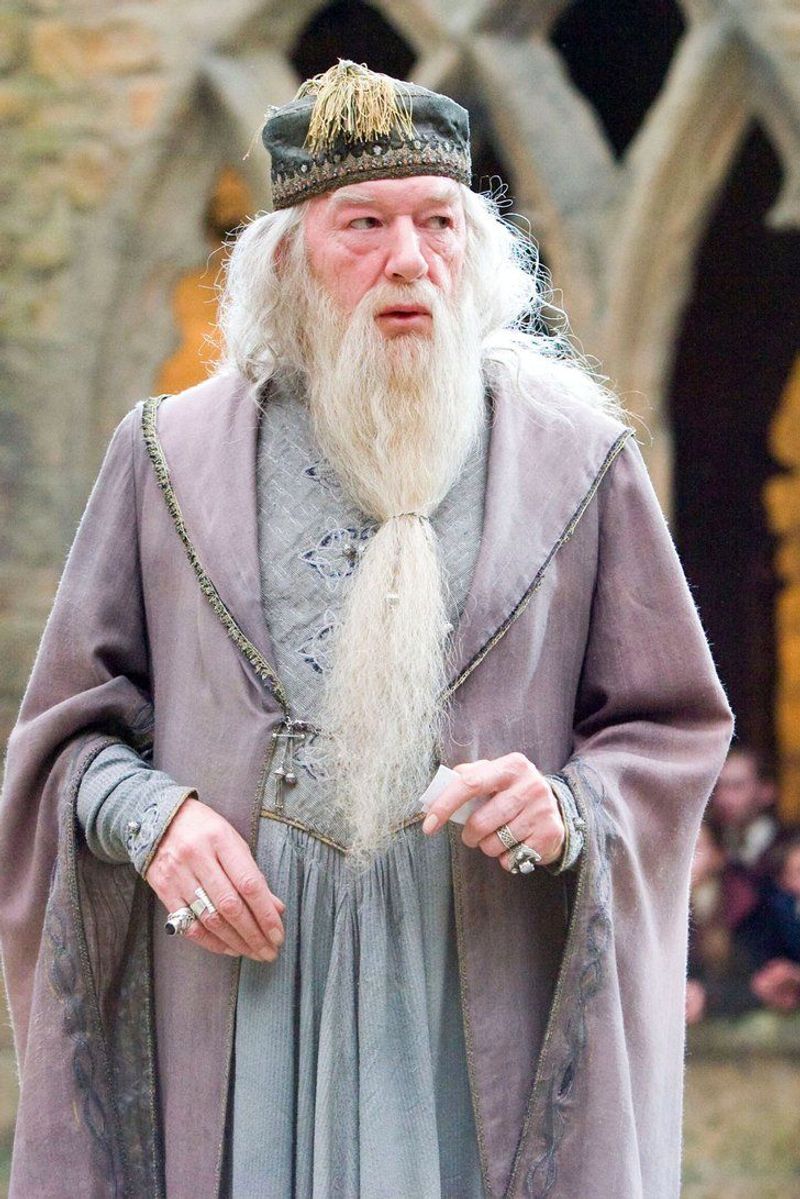 Michael Gambon in Harry Potter