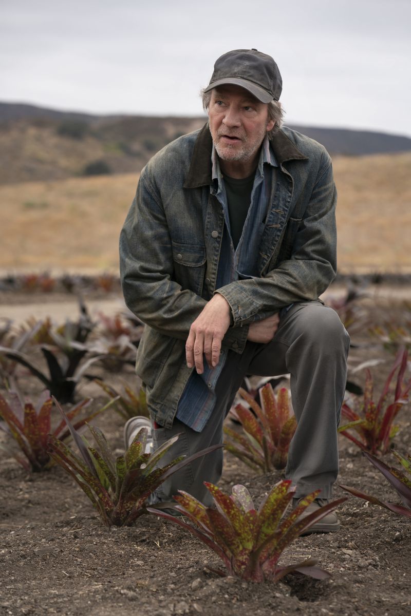 Homecoming (2018–2020)