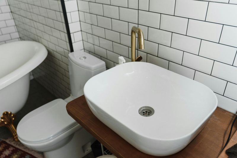 Toilet Seats or Bathroom Fixtures