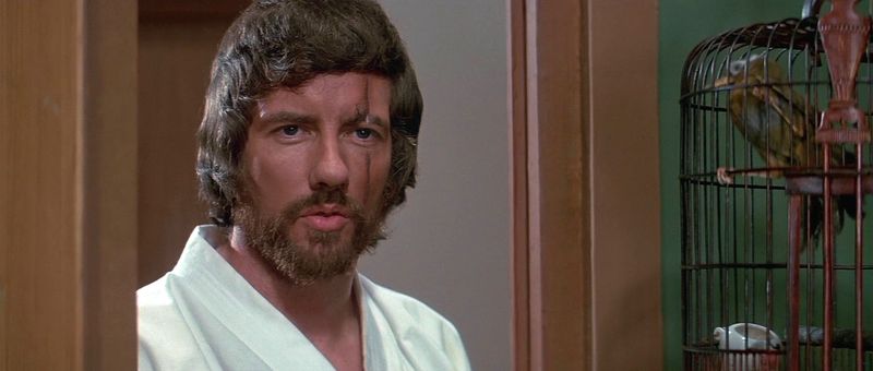 Bob Wall Filled the Role Instead