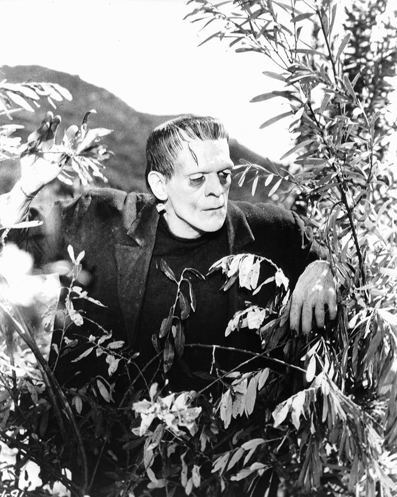 Frankenstein's Monster – Frankenstein (1931)