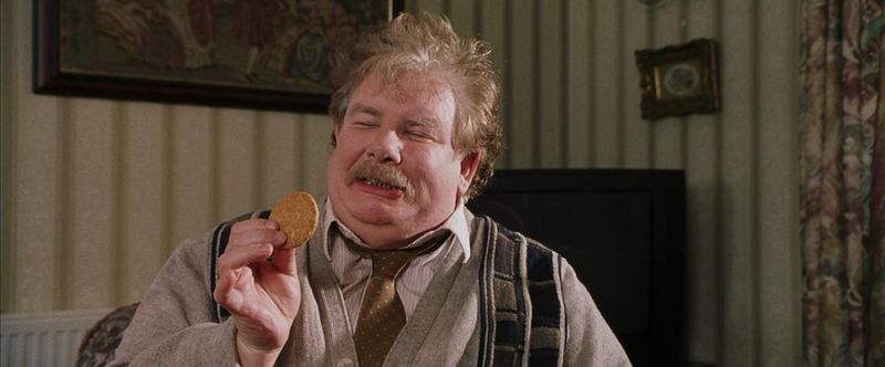 Richard Griffiths – Harry Potter Series