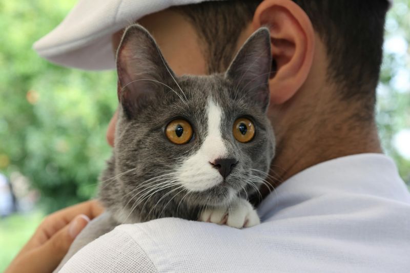 Pet Care Responsibilities