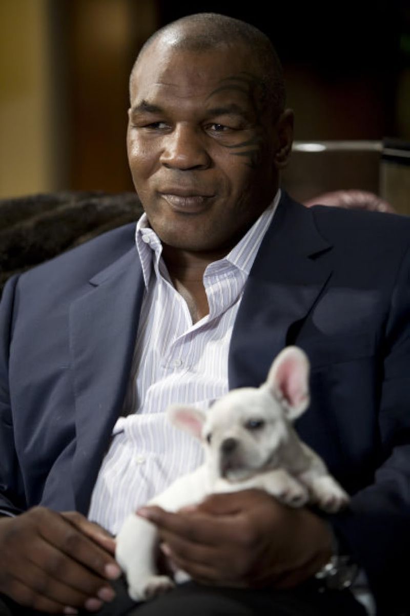 Mike Tyson in The Hangover (2009)