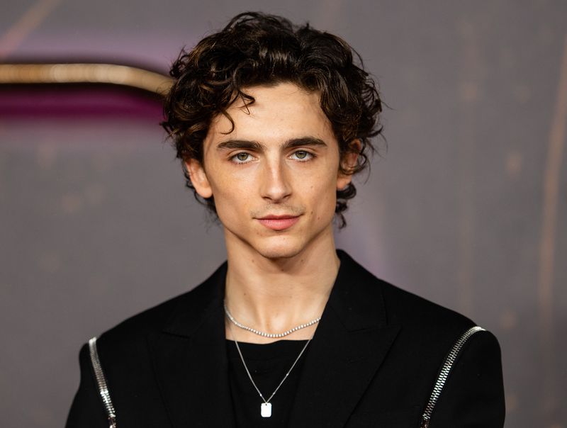 12 Timothée Chalamet Roles That Prove He's More Than a Heartthrob