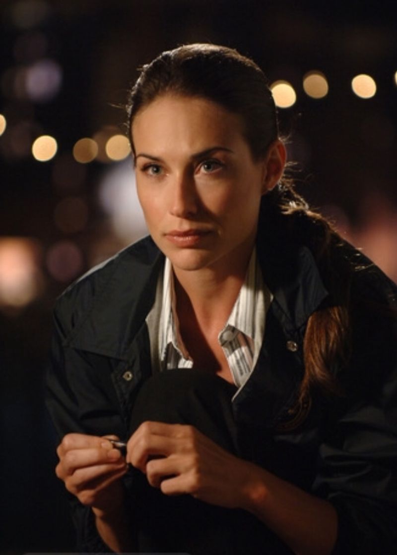 Television Success with CSI: NY Expanded Her Fanbase