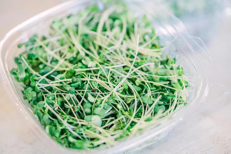 Raw Sprouts
