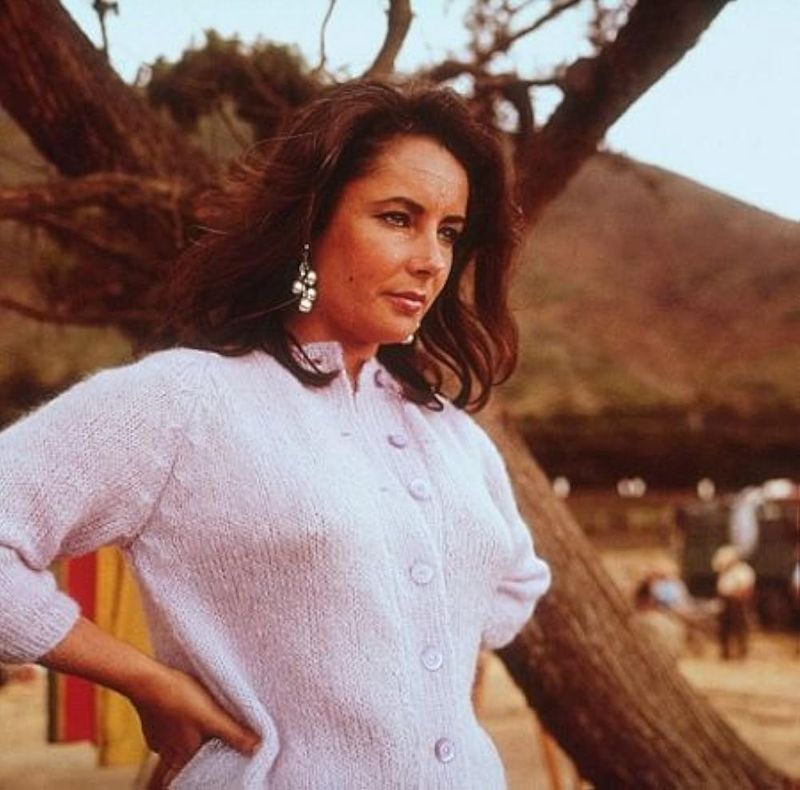 The Sandpiper (1965)