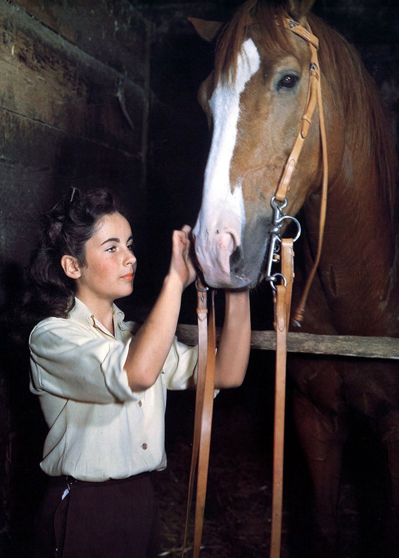 National Velvet (1944)
