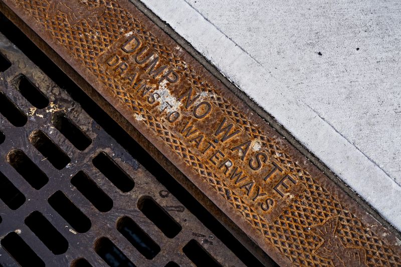 Dumping Yard Waste Into Storm Drains