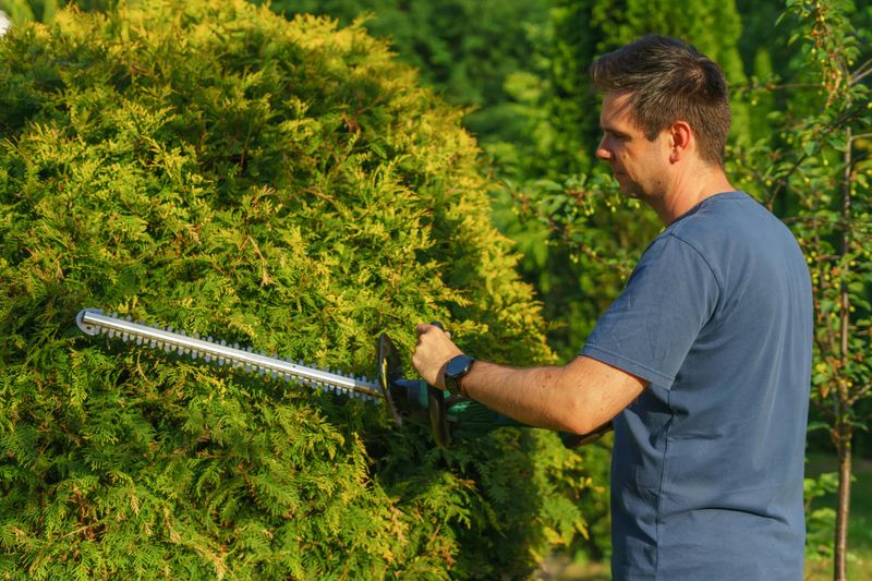 10 Things Your Neighbors Do That Are Actually Illegal (But Nobody Reports)