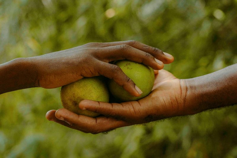 Stress Melts Away When You Focus on Giving
