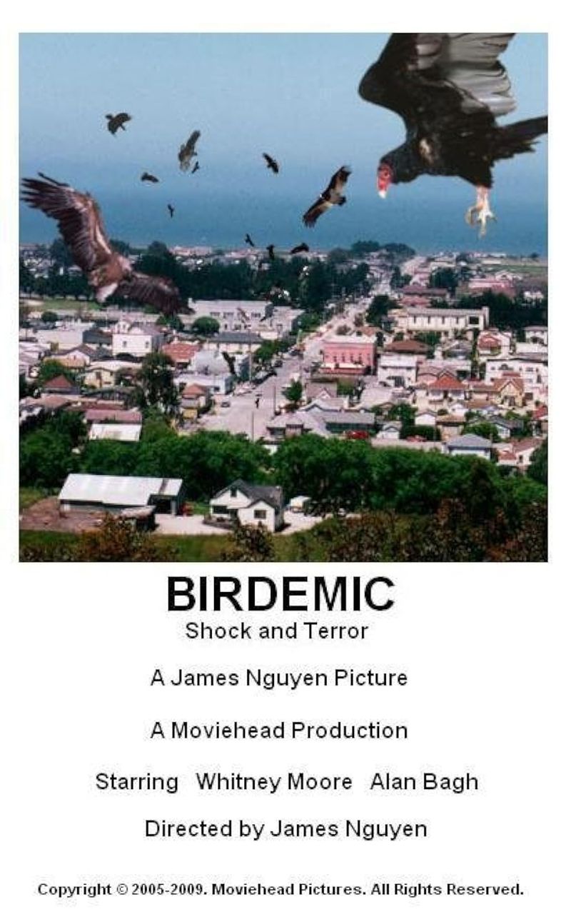 Birdemic: Shock and Terror (2010)