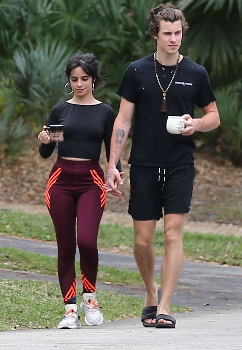 Shawn Mendes and Camila Cabello