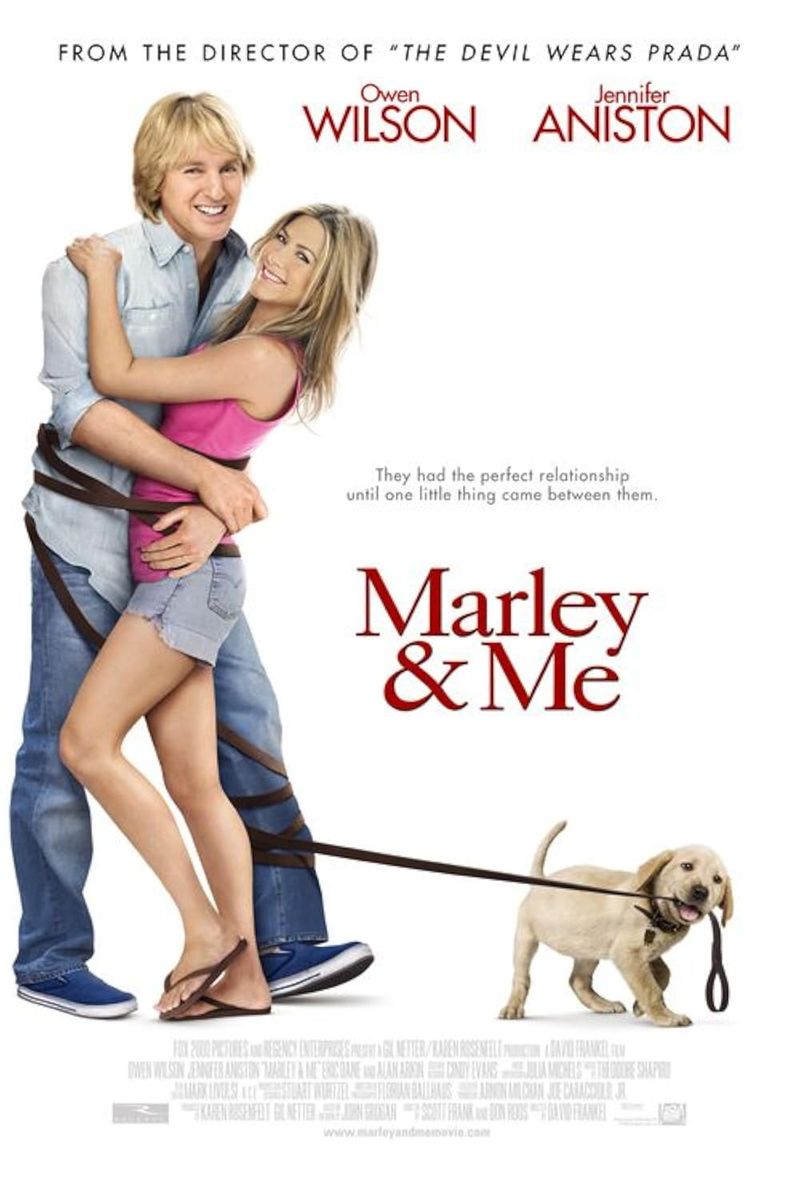 Marley in Marley & Me