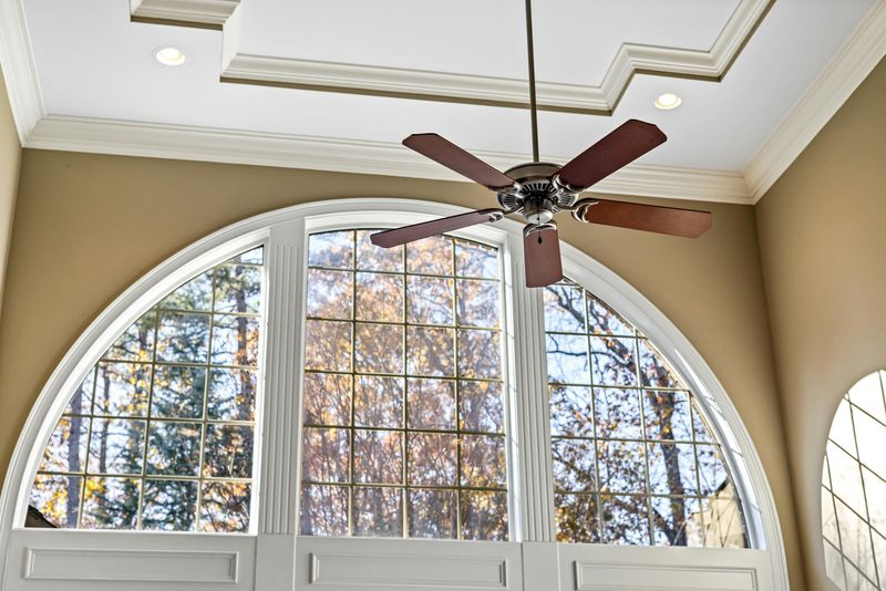Ceiling Fans Caked with Dust