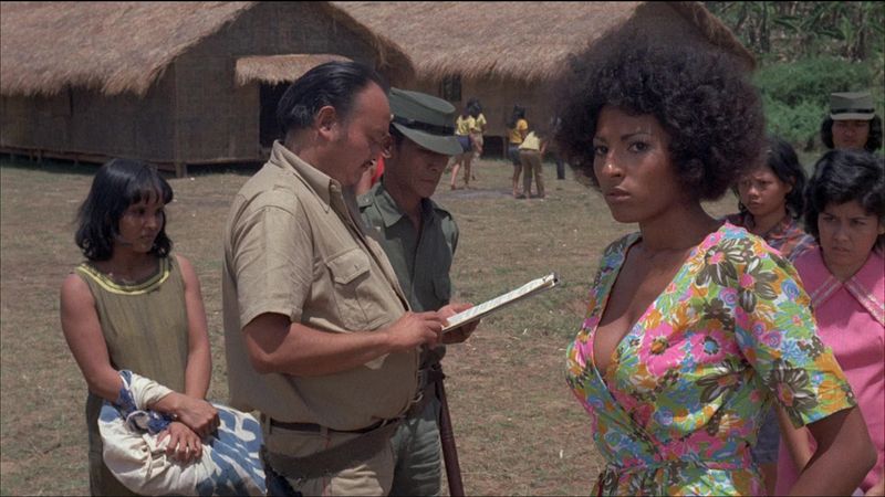 1978: Pam Grier