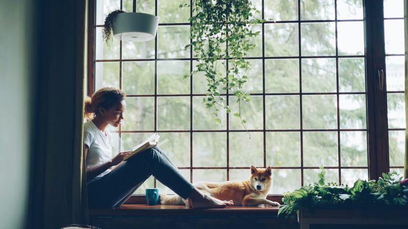 10 Reasons Why Everyone Should Be Required to Live Alone Before Getting Married