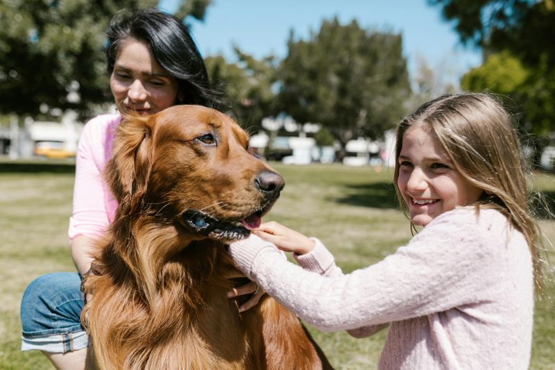 Parenting Involves Moral and Ethical Responsibility That Dogs Don't Require