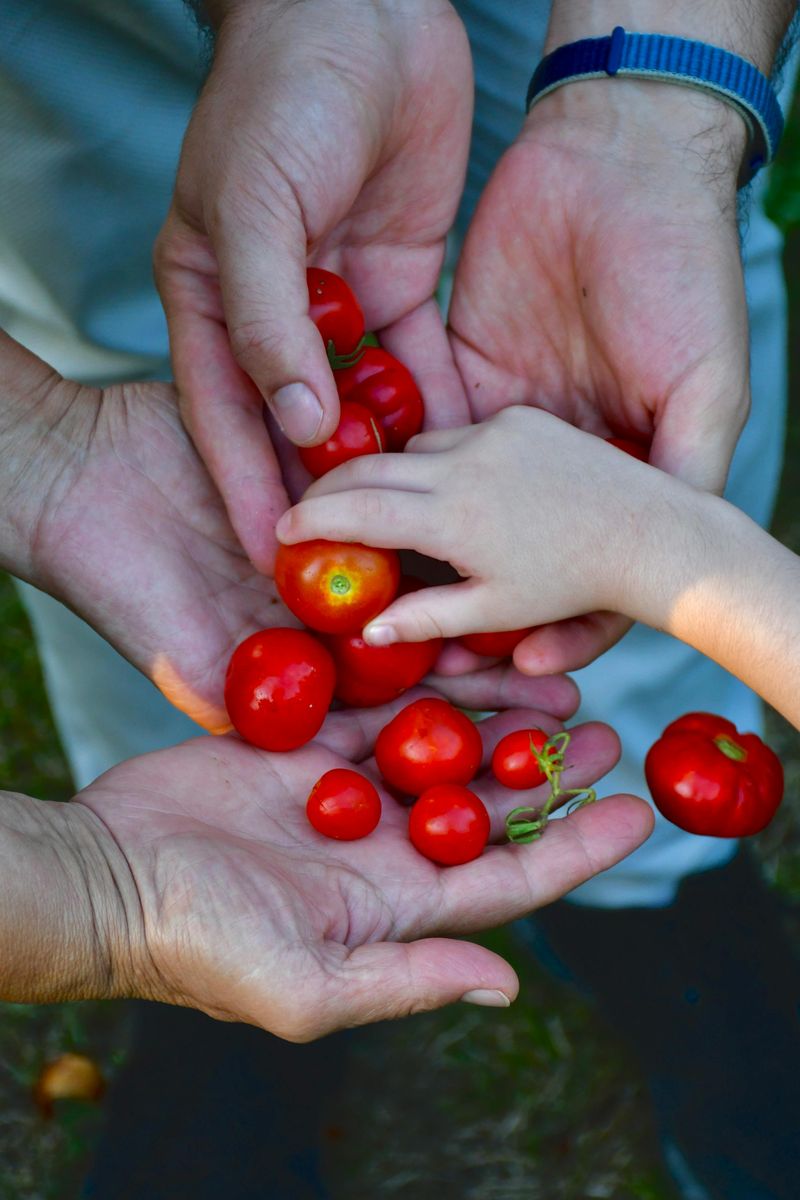 Quality Matters More Than Quantity