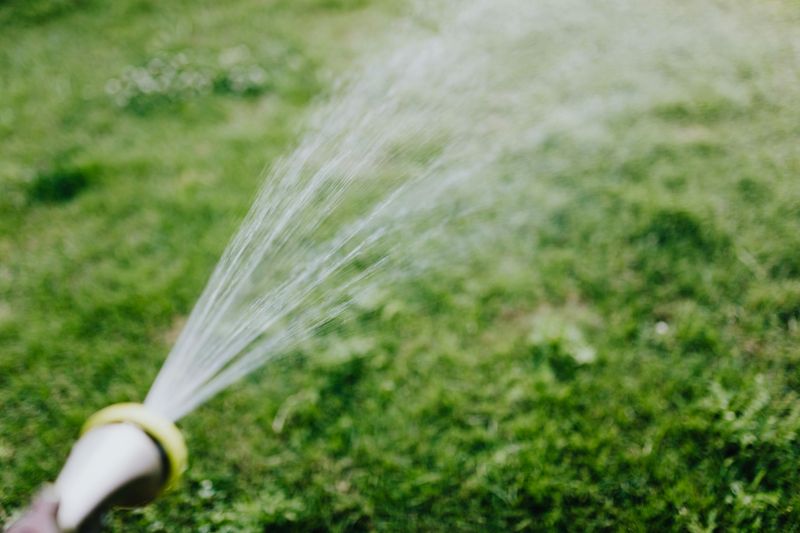 Watering the Lawn During Drought Restrictions