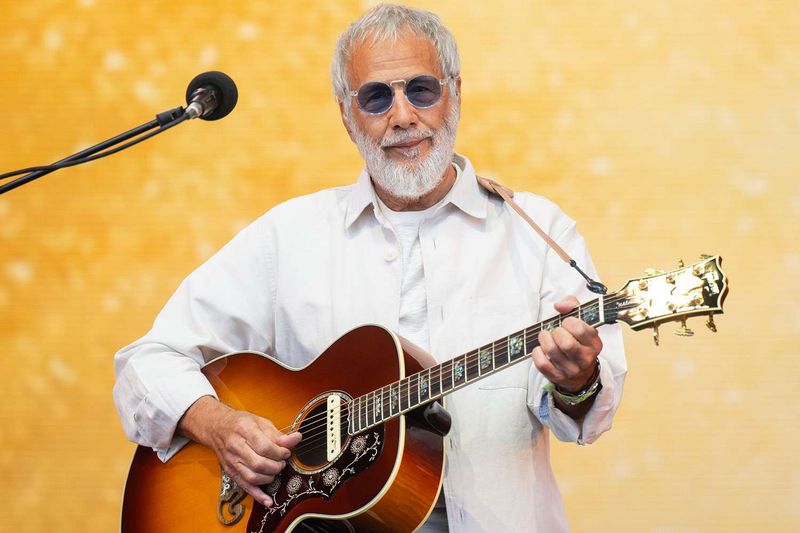 Cat Stevens