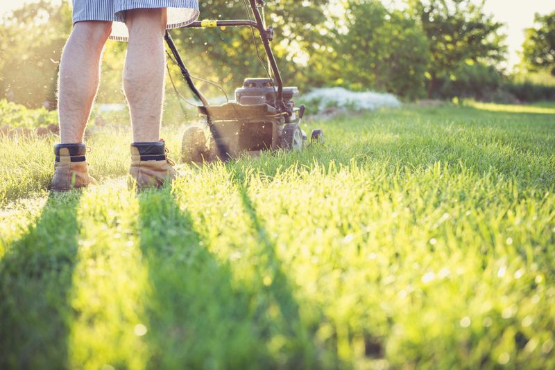Mowing Your Lawn on Sundays