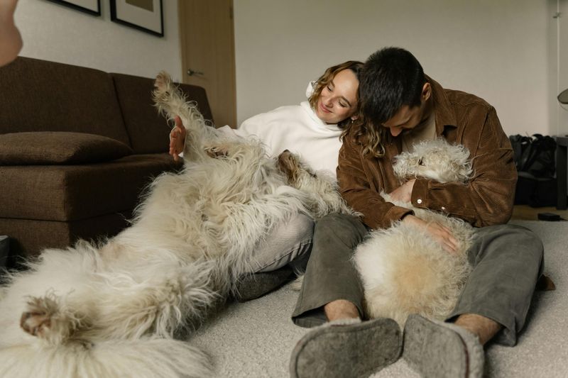 Your Pets Jump on Everyone