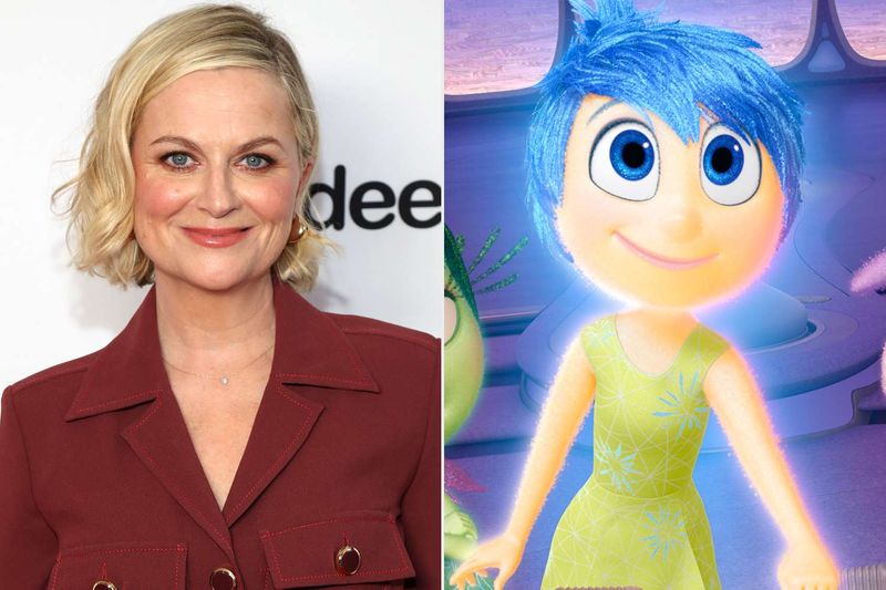Amy Poehler - Joy