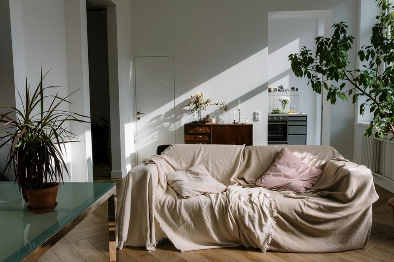 Dead Plants or Dusty Fake Decor