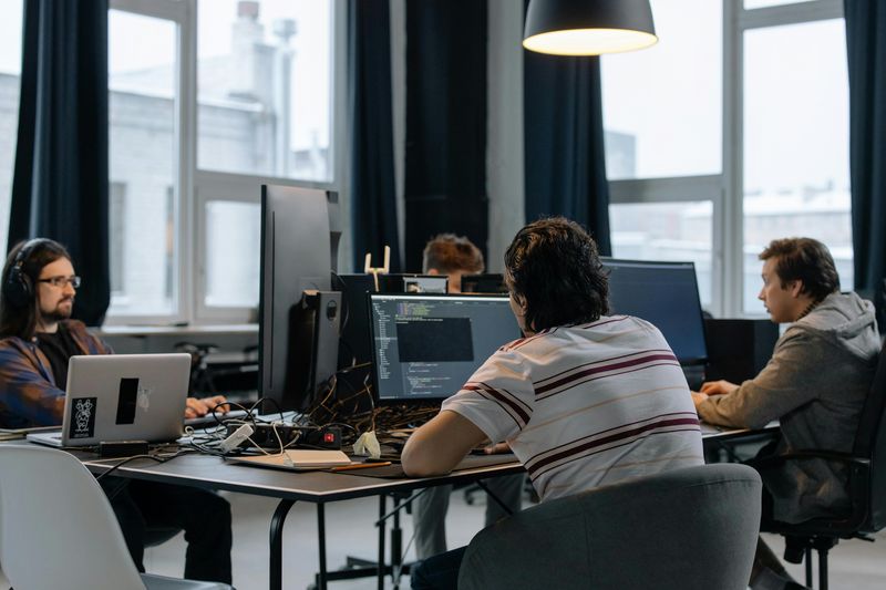 Software Developers