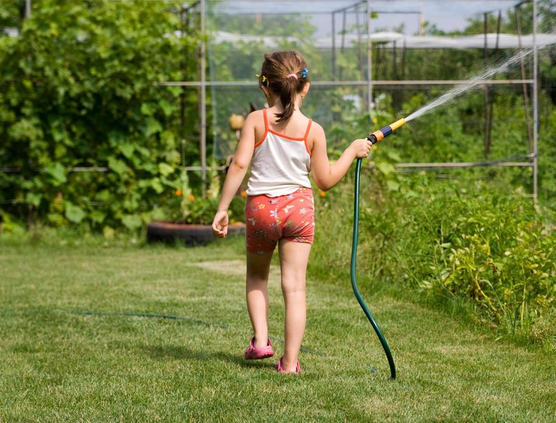 Drink From the Hose and Eat Questionable Snacks