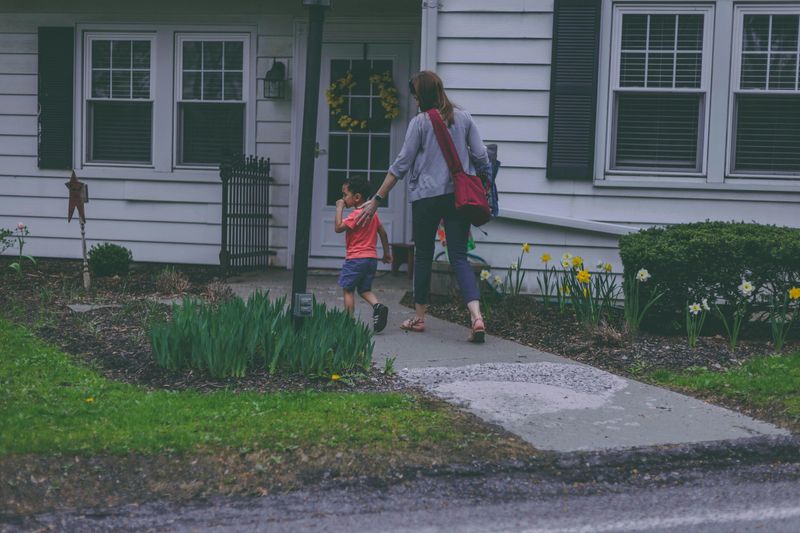 Roam the Neighborhood All Day