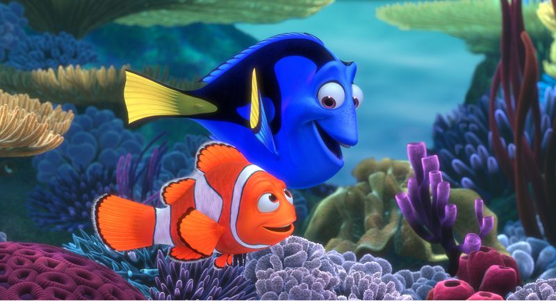 Finding Nemo and Pierrot the Clownfish