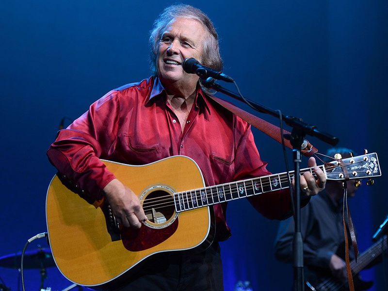 American Pie - Don McLean